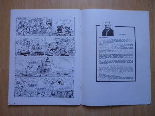 Les aventures de Brieuc Briand – Image 4