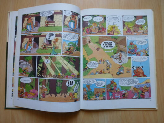 Astérix - Le devin - EO – Image 4