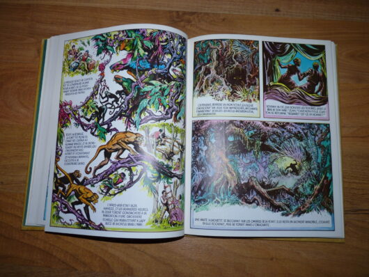 Tarzan of the Apes - Burroughs - Hogarth - 1/4 1973 - En Français – Image 5