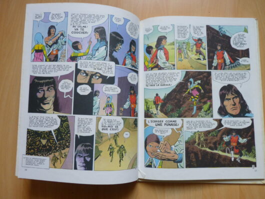 Le vagabond des Limbes T8 - Pour trois graines d'éternité – Image 3