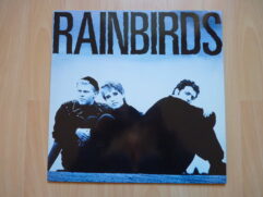 Rainbirds