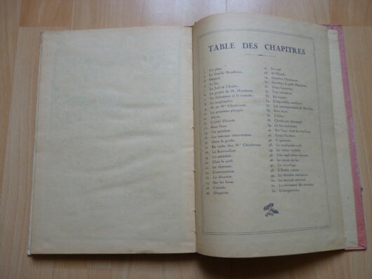Le Lac Mystérieux - René Duverne - Roman Cinématique – Image 5