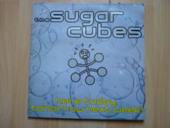 Sugar Cubes (Björk) - Here Today, Tomorrow, Next Week !