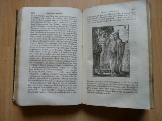 La Bible en images - Histoire abrégée de l'Ancien et du Nouveau Testament – Image 6