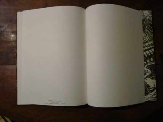 Lovecraft T2 - Le manuscrit oublié - EO – Image 10