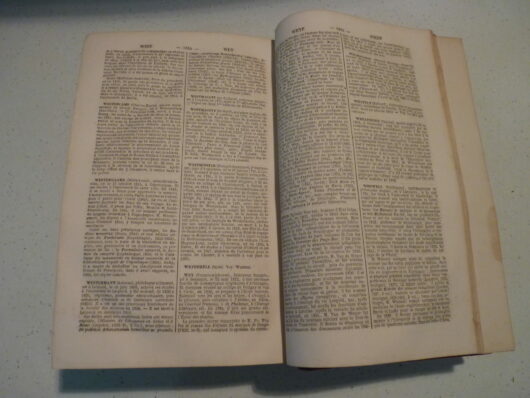 Dictionnaire universelle des contemporains - Vapereau - 1870 – Image 6