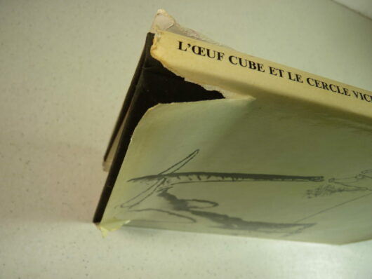 L'œuf cube et le cercle vicieux - Ronald Searle - EO – Image 9