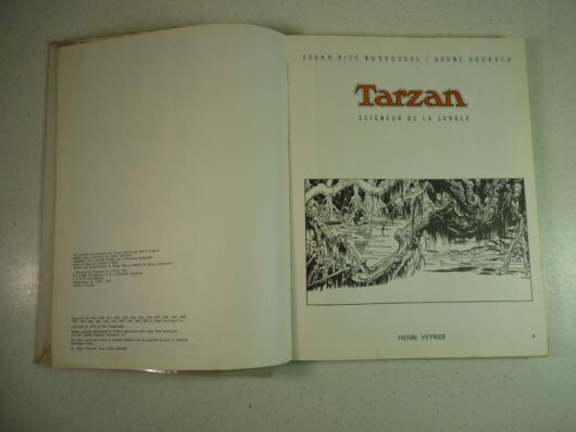 Tarzan seigneur de la jungle - Burroughs / Hogarth – Image 3