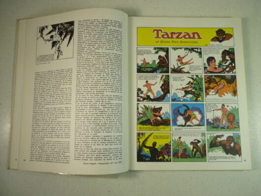 Tarzan seigneur de la jungle - Burroughs / Hogarth – Image 4