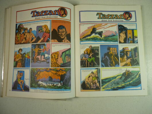 Tarzan seigneur de la jungle - Burroughs / Hogarth – Image 6
