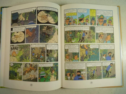 Tintin et les Picaros - C1 - EO – Image 6