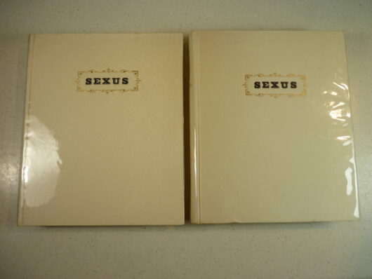 Sexus - Henry Miller - Vergé Gothique 3/600 – Image 2