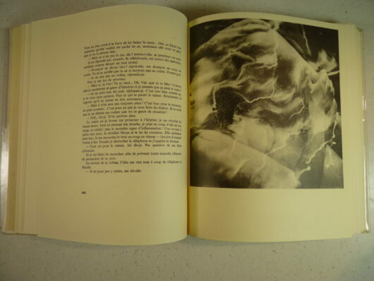Sexus - Henry Miller - Vergé Gothique 3/600 – Image 7