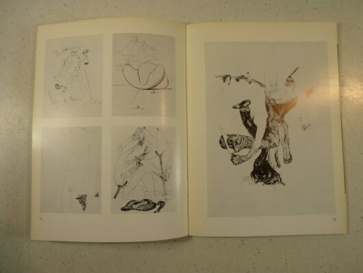 Salvador Dali – œuvres anciennes – Image 5