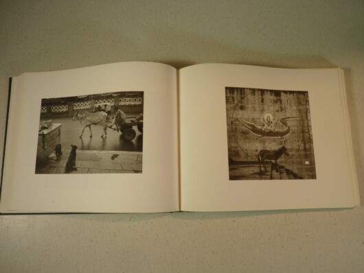 Pentti Sammallahti – Ici au loin – Image 6