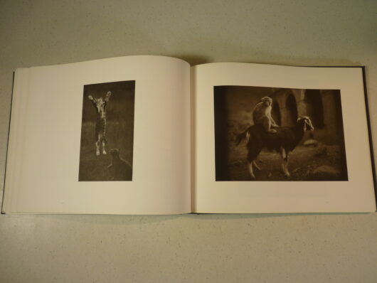 Pentti Sammallahti – Ici au loin – Image 7