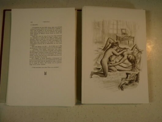 Therese ou la soumission - Sadut Claude - F.Dannat – Image 7