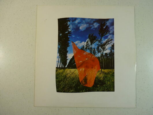 Pink Floyd – wish you were here – Image 2