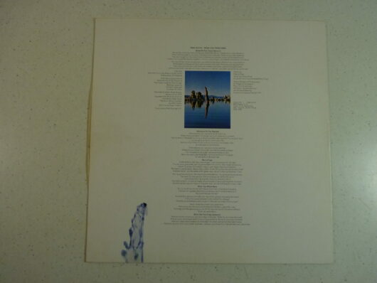 Pink Floyd – wish you were here – Image 3