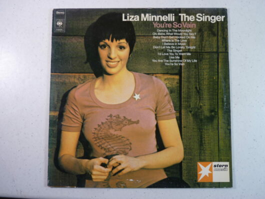 Liza Minnelli The singer