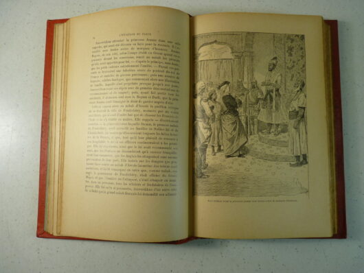 L’héritage du fakir - Eudoxie Dupuis – Image 4