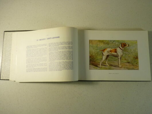 Les Chiens de Chasse - Manufrance – Image 3
