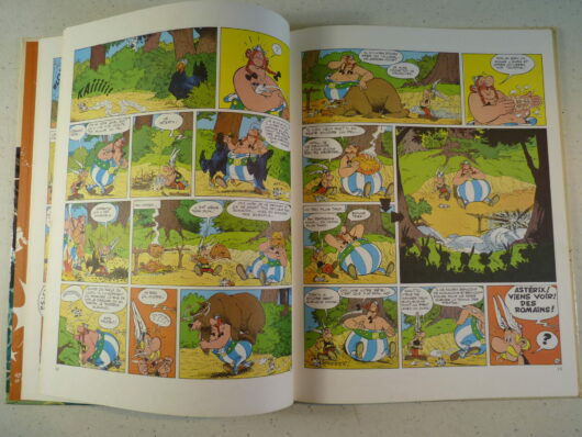 Astérix - La grande traversée EO – Image 5