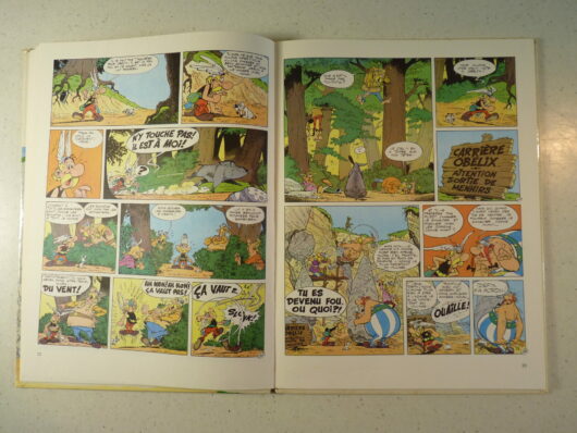 Astérix - Obélix et compagnie EO – Image 5