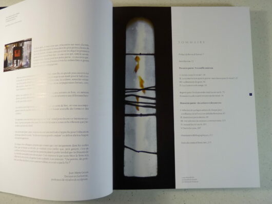 Le vitrail contemporain – Geron Moxhet – Image 2