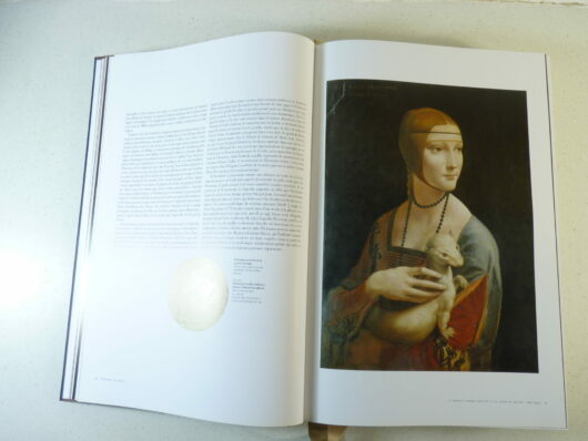 De Vinci – Tout l’oeuvre peint et graphique – Image 4