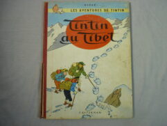 Tintin au Tibet - B29